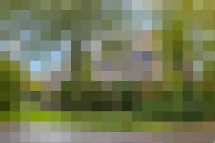 Albert van Dalsumlaan 237 Utrecht thumbnail 46
