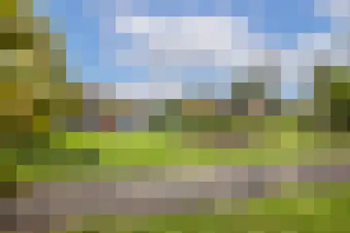 Albert van Dalsumlaan 237 Utrecht thumbnail 47