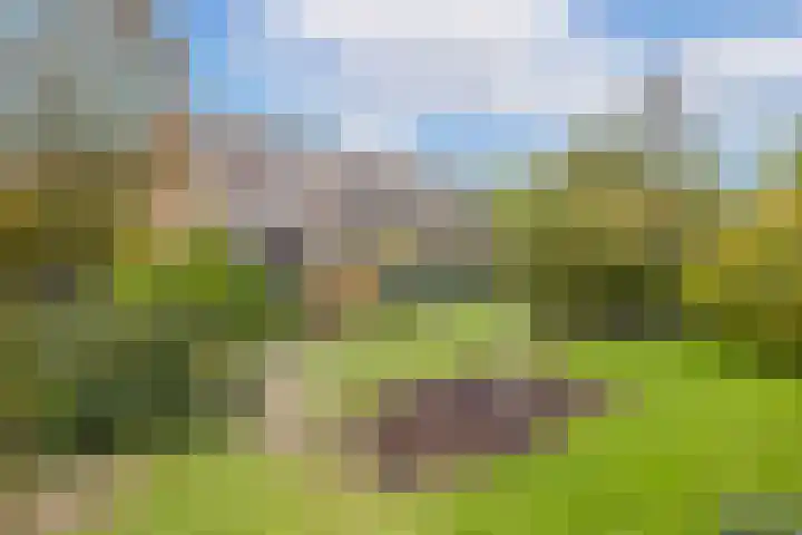 Albert van Dalsumlaan 237 Utrecht thumbnail 48