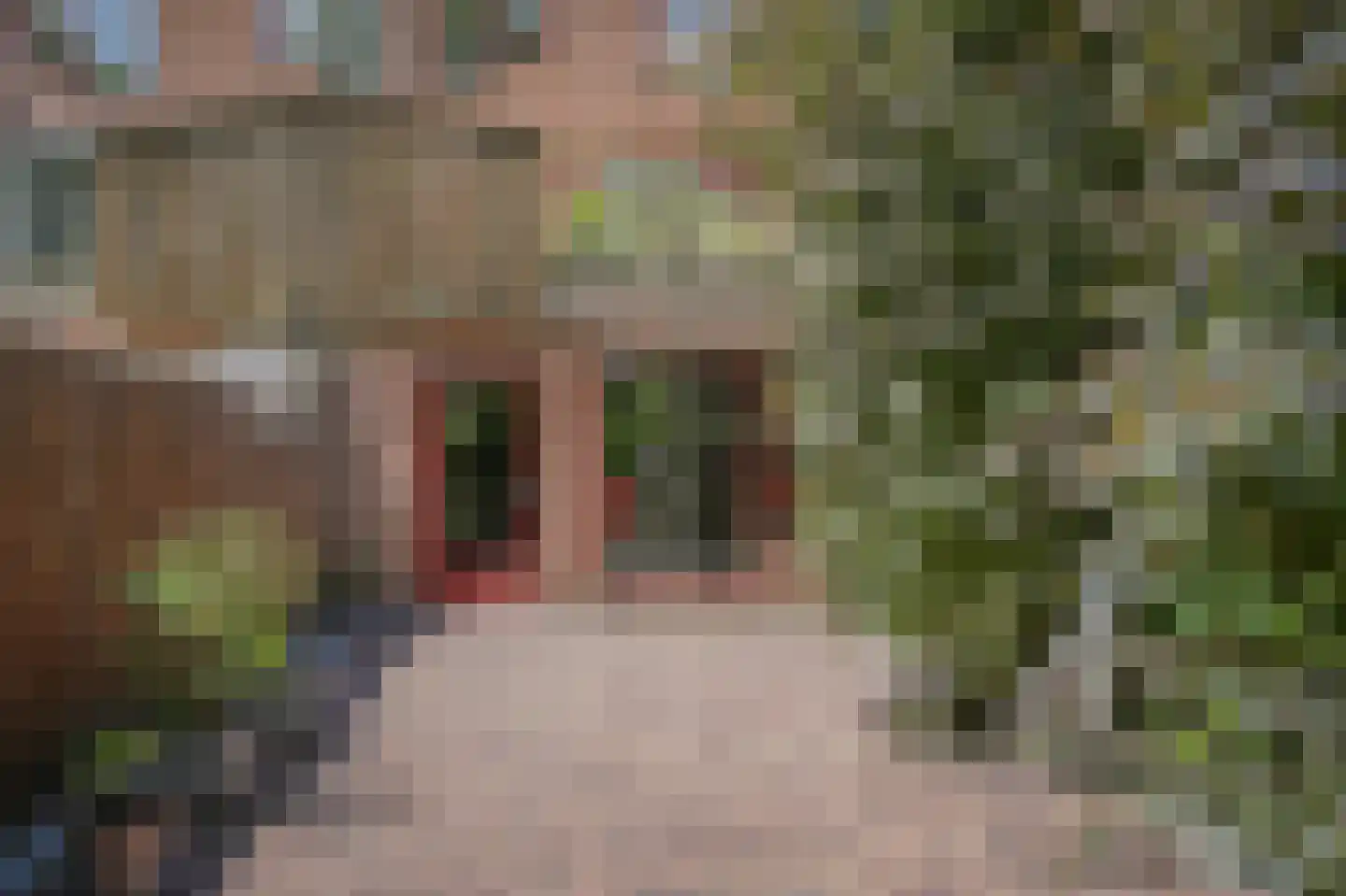 Albert van Dalsumlaan 249 Utrecht thumbnail 18