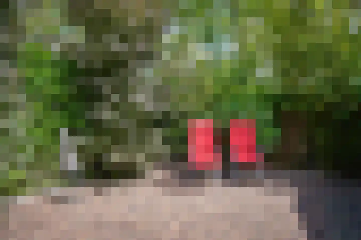 Albert van Dalsumlaan 249 Utrecht thumbnail 20