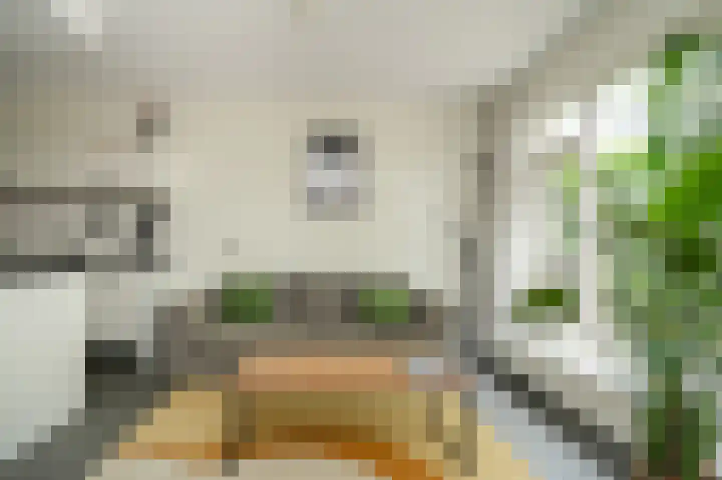 Albert van Dalsumlaan 249 Utrecht thumbnail 5
