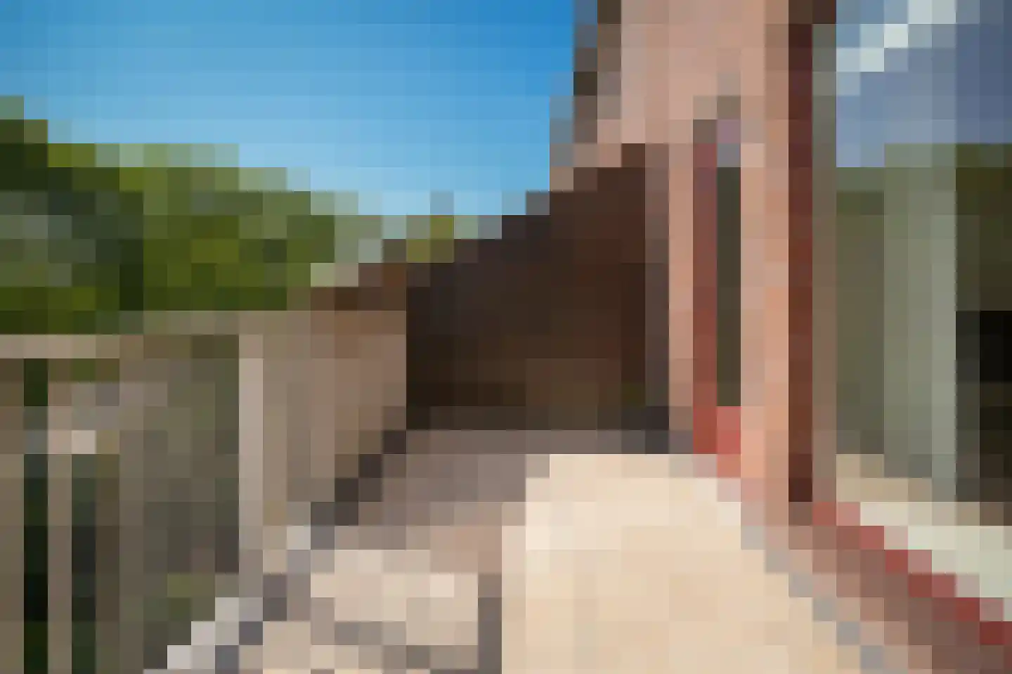 Albert van Dalsumlaan 285 Utrecht thumbnail 14