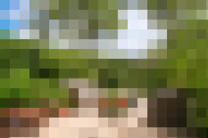 Albert van Dalsumlaan 291 Utrecht thumbnail 22