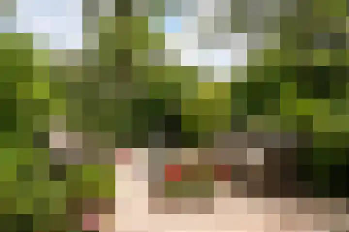 Albert van Dalsumlaan 291 Utrecht thumbnail 23