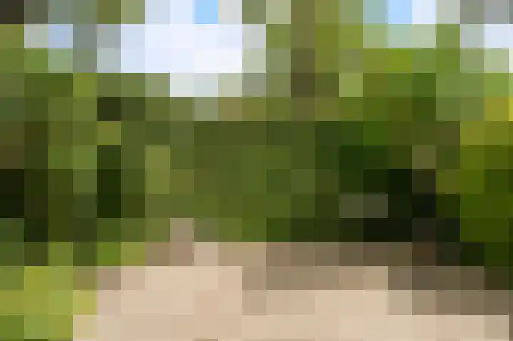 Albert van Dalsumlaan 291 Utrecht thumbnail 24