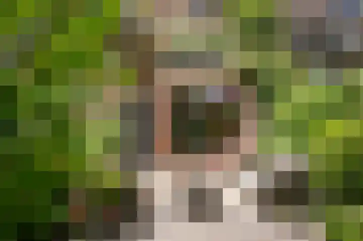 Albert van Dalsumlaan 291 Utrecht thumbnail 25