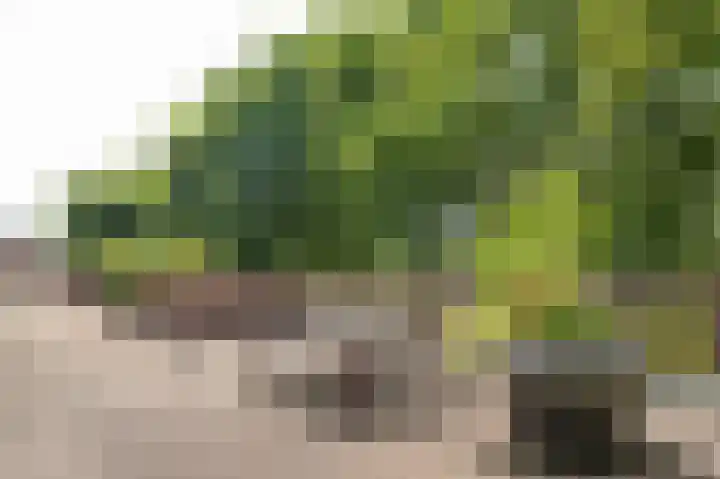 Albert van Dalsumlaan 291 Utrecht thumbnail 28