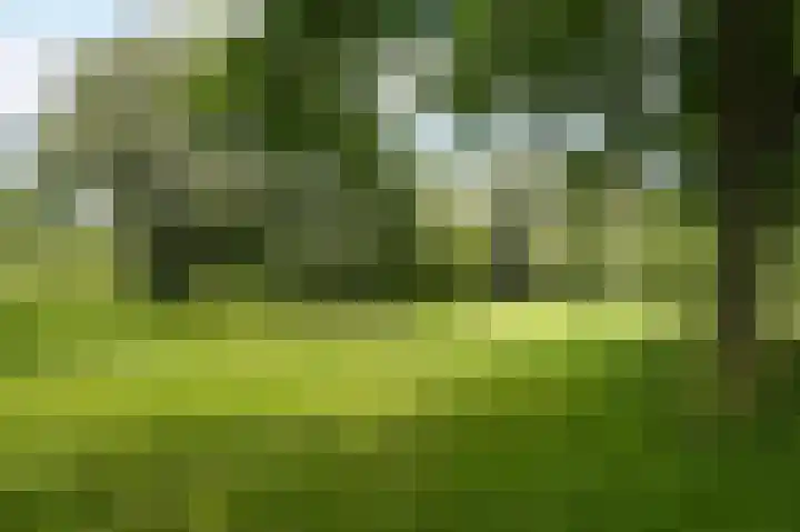 Albert van Dalsumlaan 291 Utrecht thumbnail 29