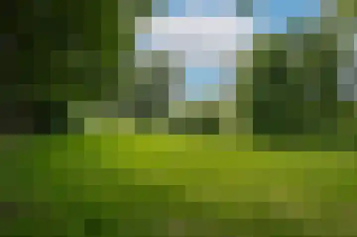 Albert van Dalsumlaan 291 Utrecht thumbnail 30