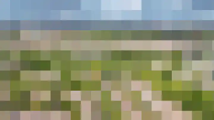 Albert van Dalsumlaan 291 Utrecht thumbnail 31