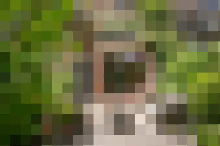 Albert van Dalsumlaan 291 Utrecht thumbnail 35