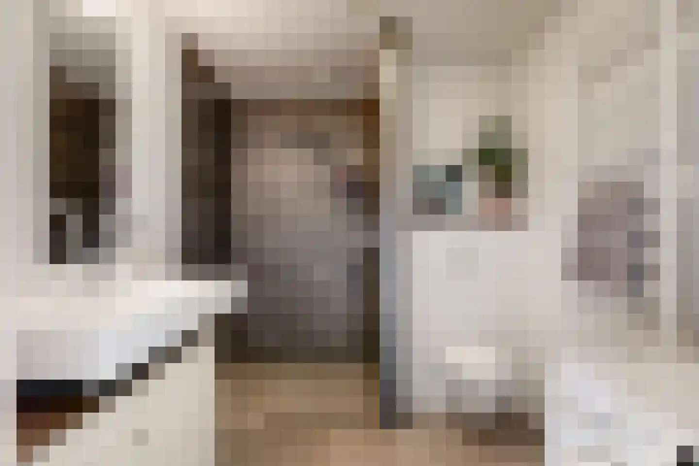 Albert van Dalsumlaan 297 Utrecht thumbnail 20