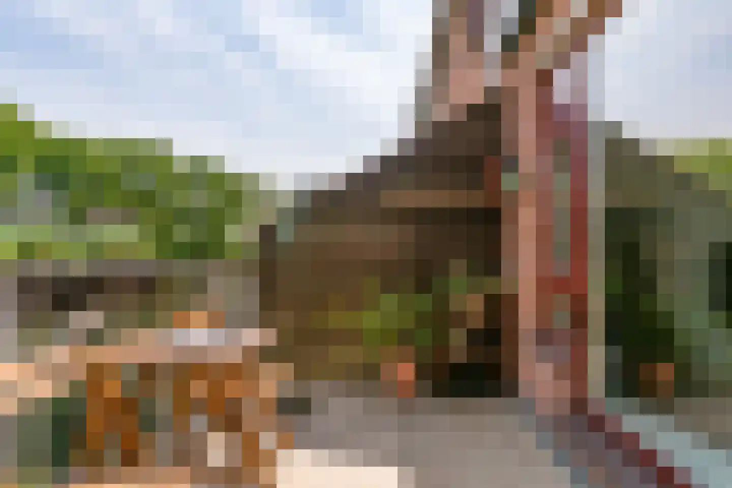 Albert van Dalsumlaan 297 Utrecht thumbnail 23
