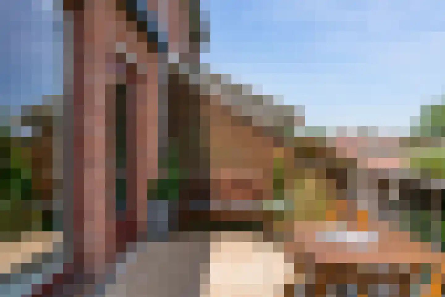 Albert van Dalsumlaan 297 Utrecht thumbnail 24