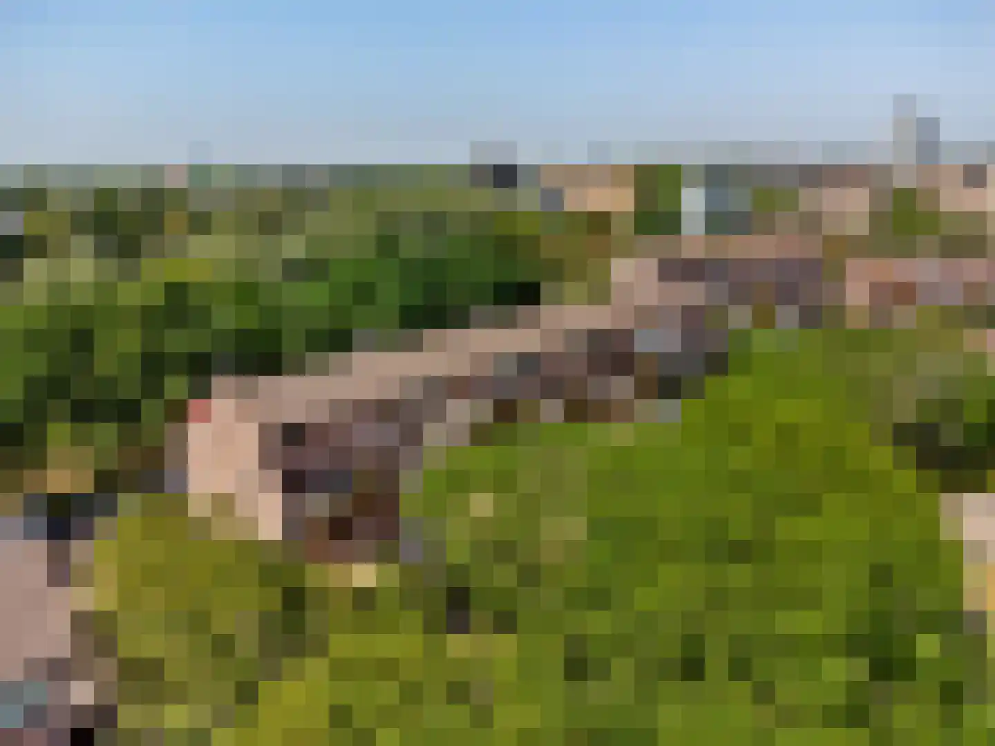 Albert van Dalsumlaan 297 Utrecht thumbnail 26