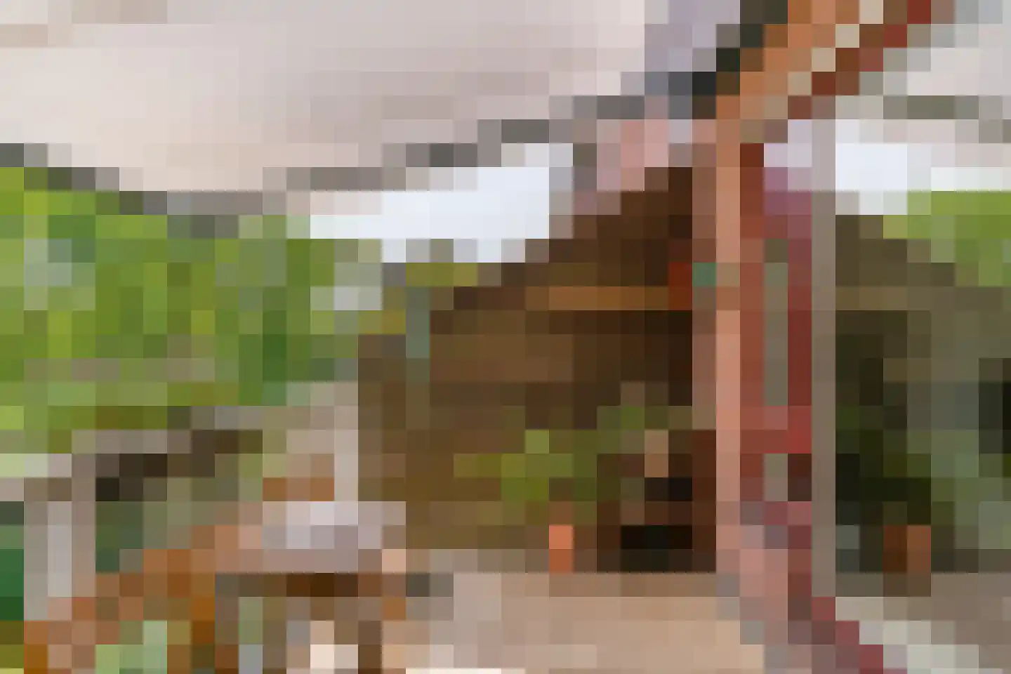 Albert van Dalsumlaan 297 Utrecht thumbnail 4