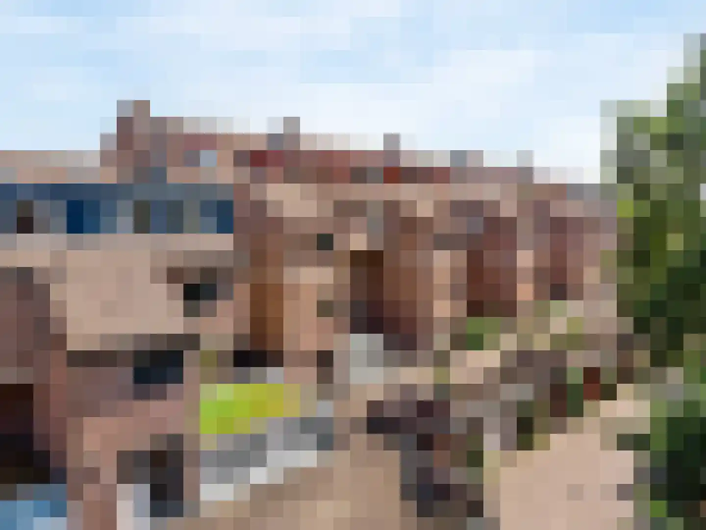 Albert van Dalsumlaan 297 Utrecht thumbnail 5