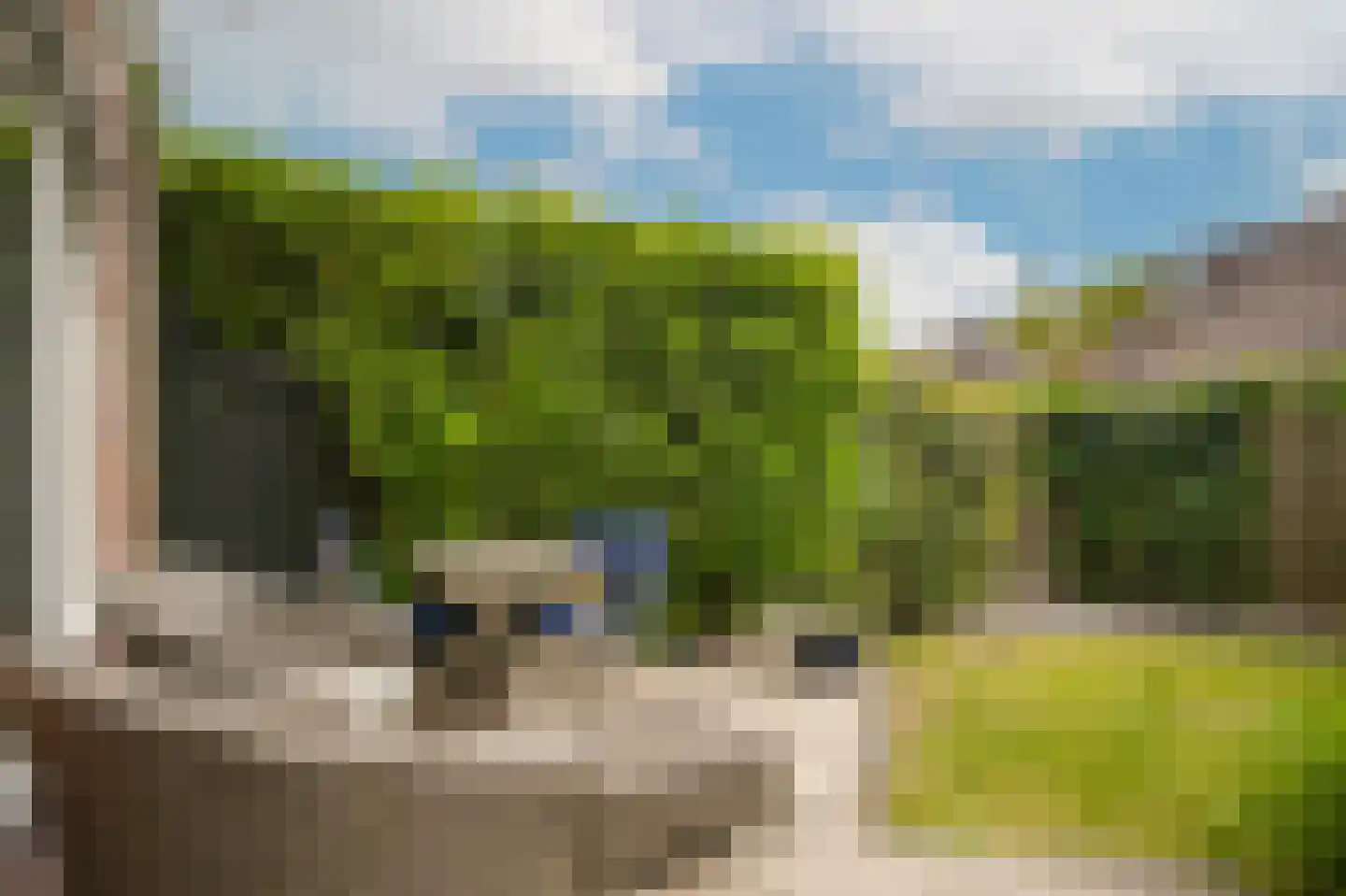 Albert van Dalsumlaan 335 Utrecht thumbnail 22