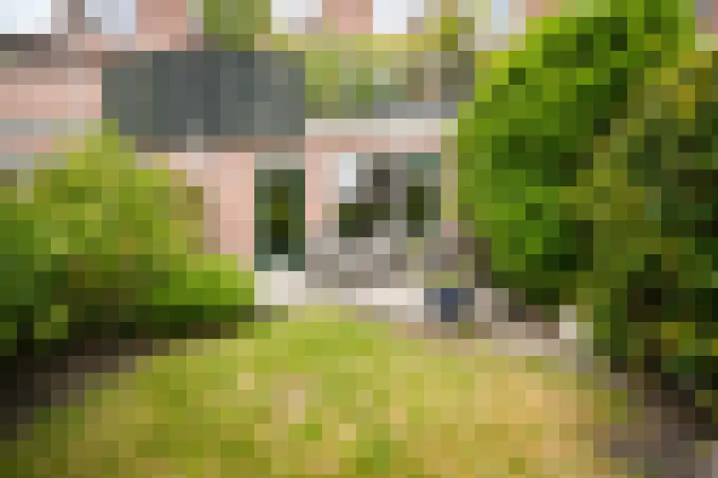 Albert van Dalsumlaan 335 Utrecht thumbnail 23