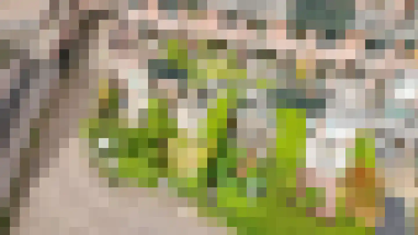 Albert van Dalsumlaan 335 Utrecht thumbnail 36