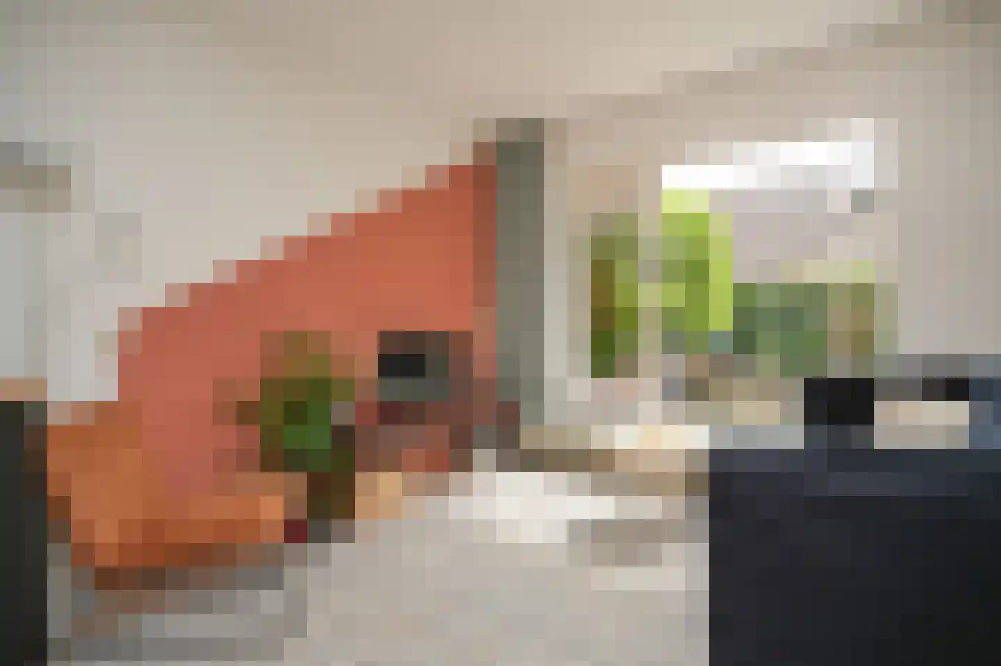 Albert van Dalsumlaan 335 Utrecht thumbnail 7
