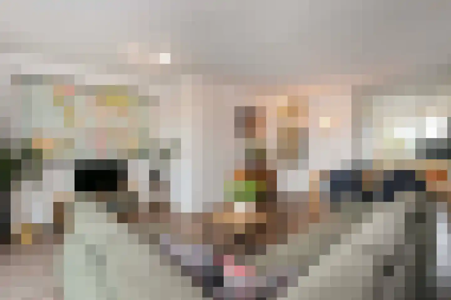 Albert van Dalsumlaan 343 Utrecht thumbnail 11