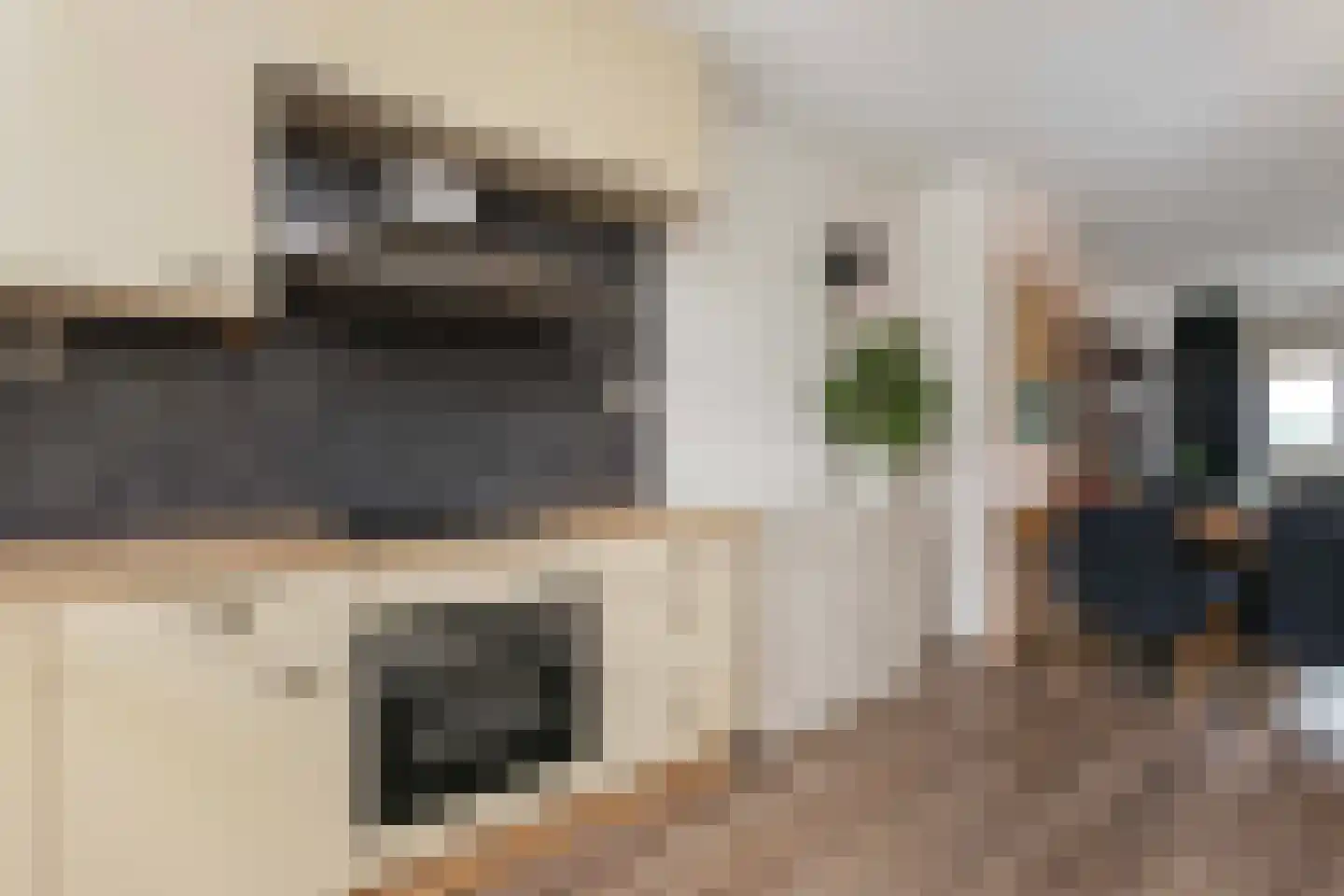 Albert van Dalsumlaan 343 Utrecht thumbnail 14