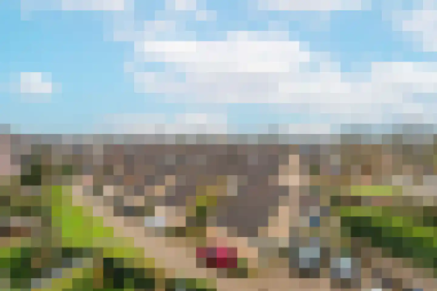 Albert van Dalsumlaan 343 Utrecht thumbnail 29