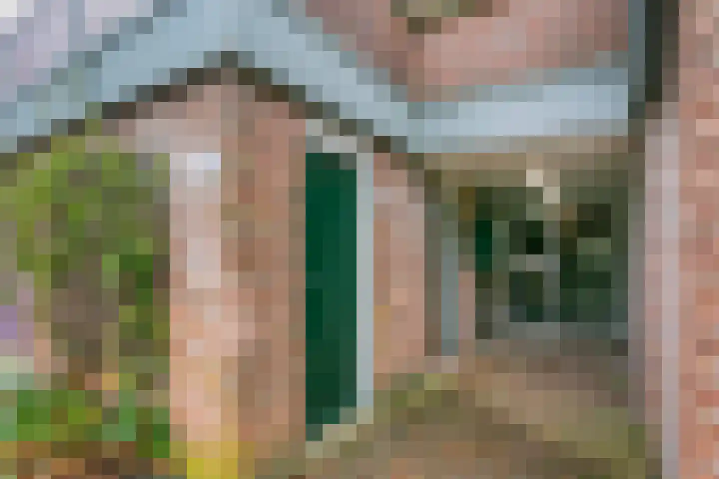 Albert van Dalsumlaan 343 Utrecht thumbnail 5