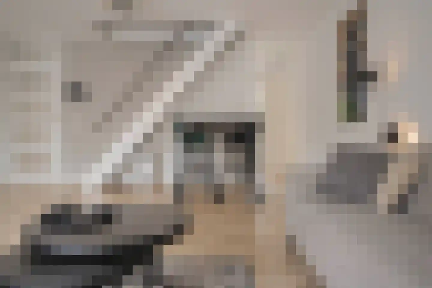 Albert van Dalsumlaan 35 Arnhem thumbnail 14