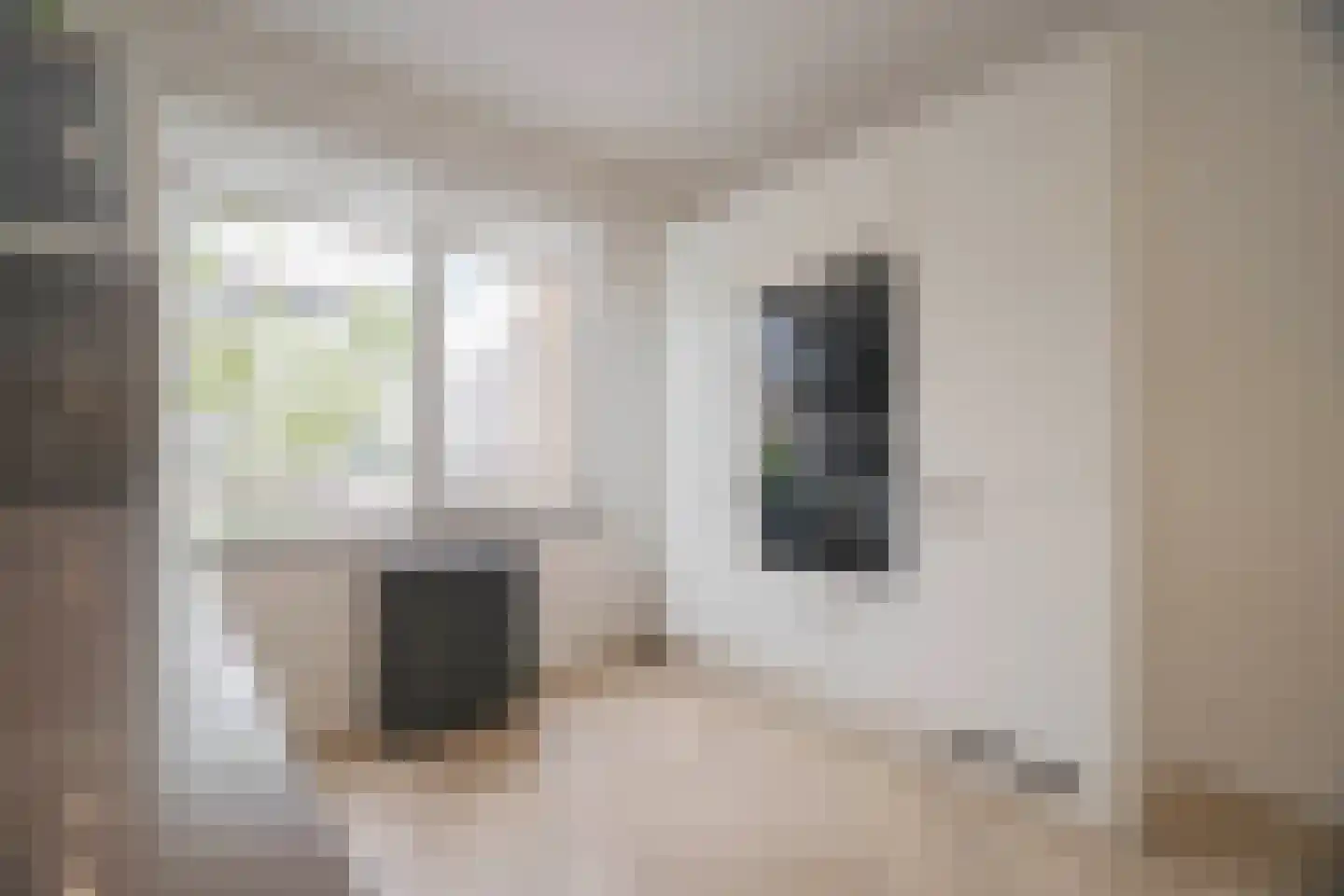 Albert van Dalsumlaan 35 Arnhem thumbnail 19