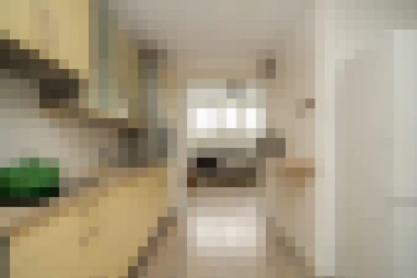 Albert van Dalsumlaan 381 Utrecht thumbnail 10