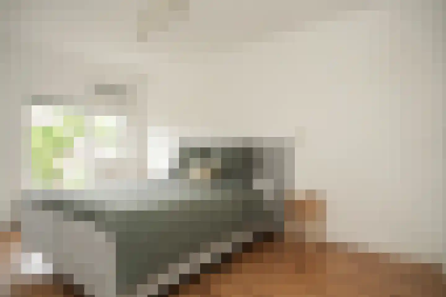 Albert van Dalsumlaan 381 Utrecht thumbnail 20