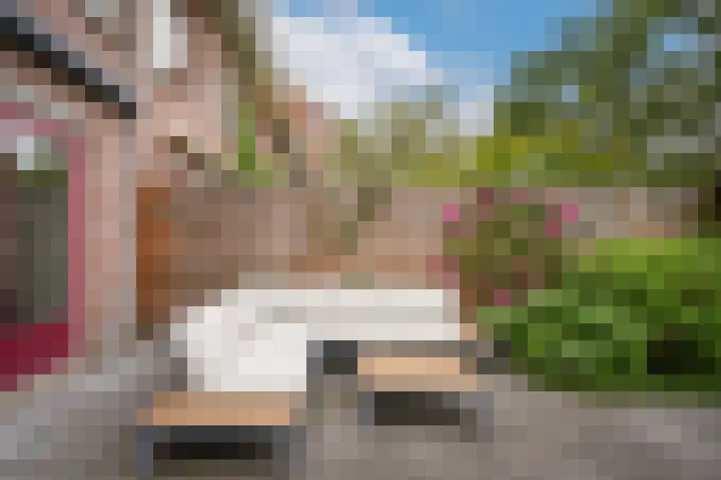 Albert van Dalsumlaan 381 Utrecht thumbnail 25