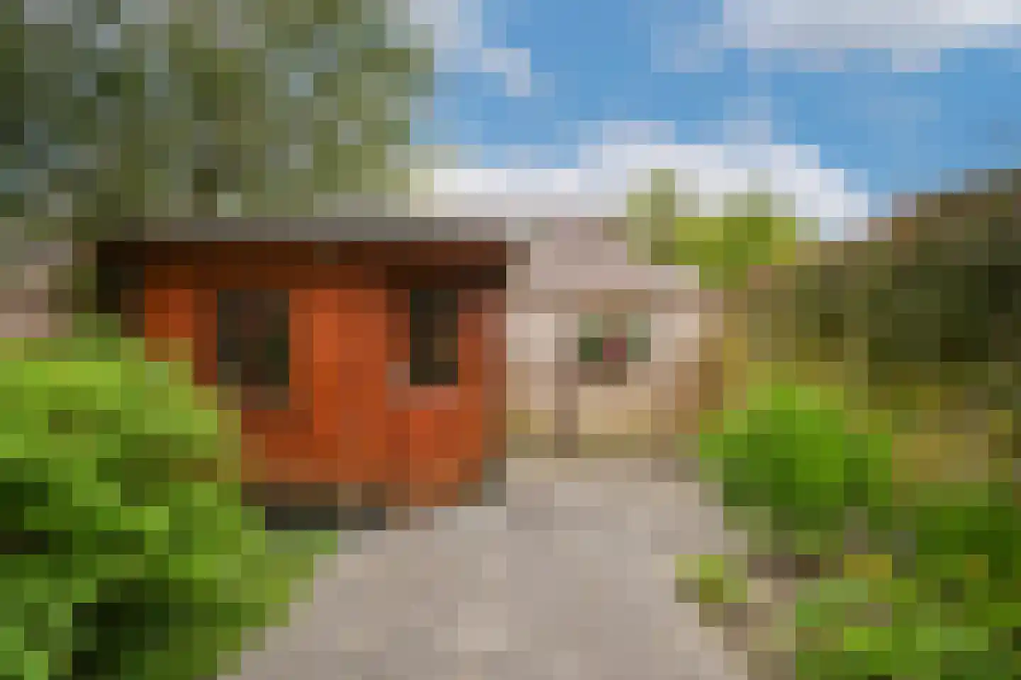 Albert van Dalsumlaan 381 Utrecht thumbnail 29