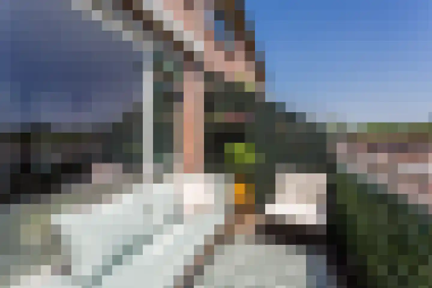 Albert van Dalsumlaan 459 Utrecht thumbnail 20