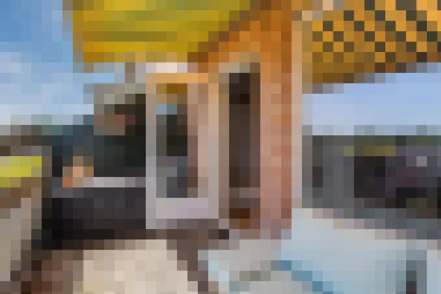 Albert van Dalsumlaan 459 Utrecht thumbnail 25
