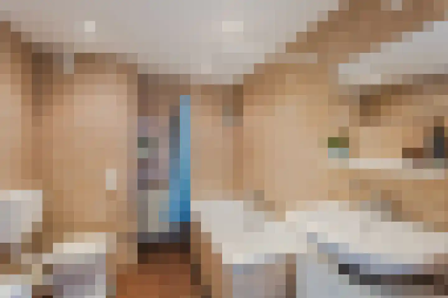 Albert van Dalsumlaan 459 Utrecht thumbnail 31
