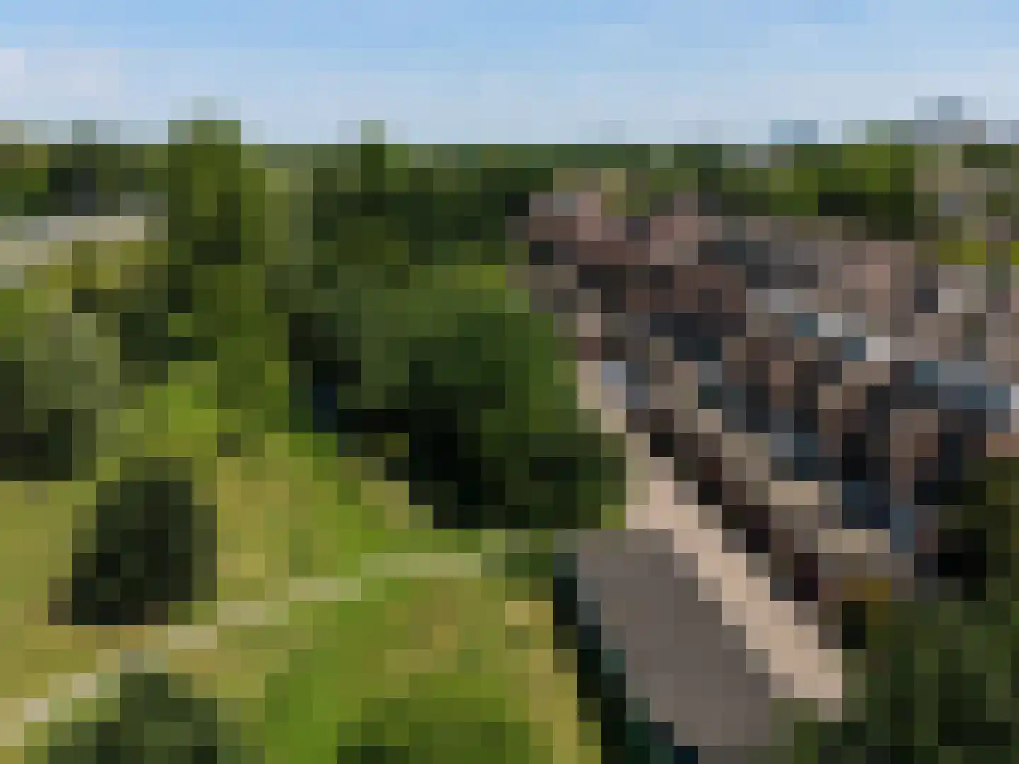 Albert van Dalsumlaan 459 Utrecht thumbnail 47