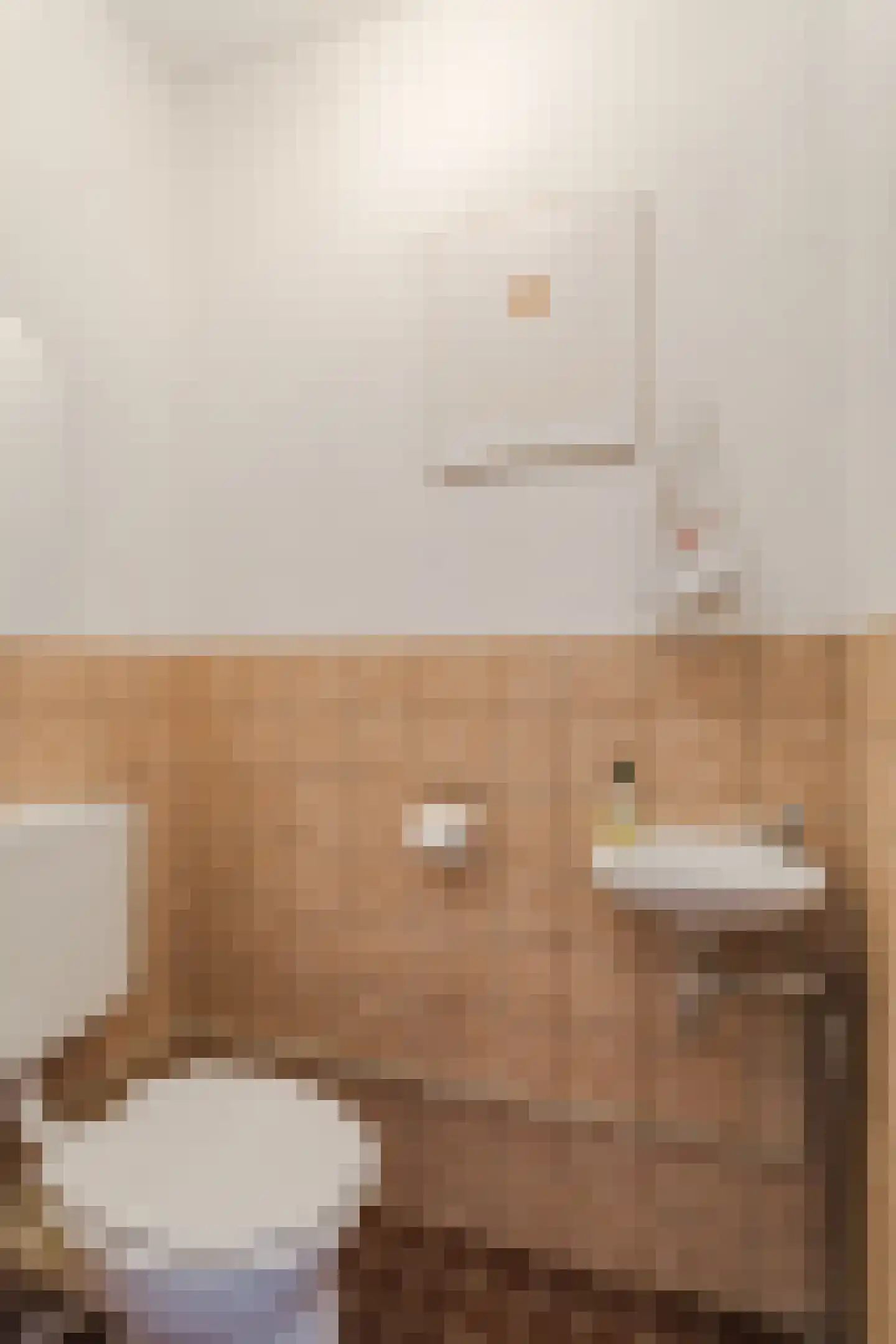 Albert van Dalsumlaan 459 Utrecht thumbnail 6