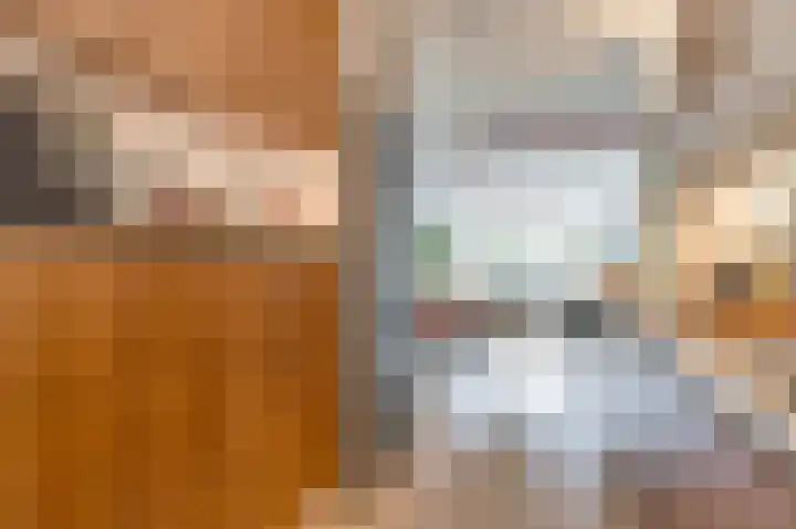 Albert van Dalsumlaan 479 Utrecht thumbnail 11