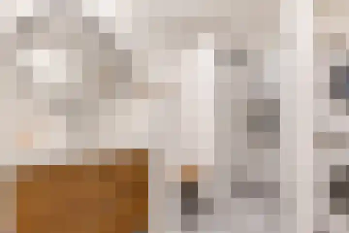 Albert van Dalsumlaan 479 Utrecht thumbnail 26