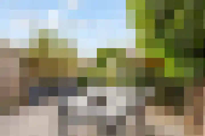 Albert van Dalsumlaan 479 Utrecht thumbnail 30