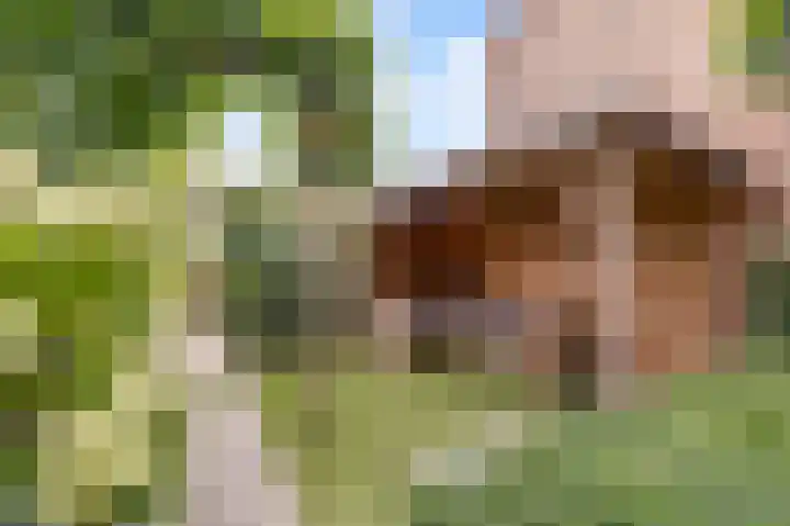 Albert van Dalsumlaan 479 Utrecht thumbnail 32
