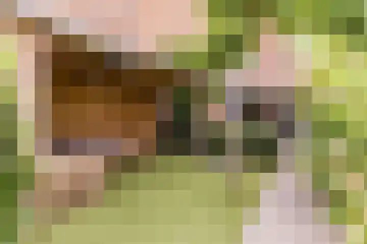 Albert van Dalsumlaan 479 Utrecht thumbnail 33