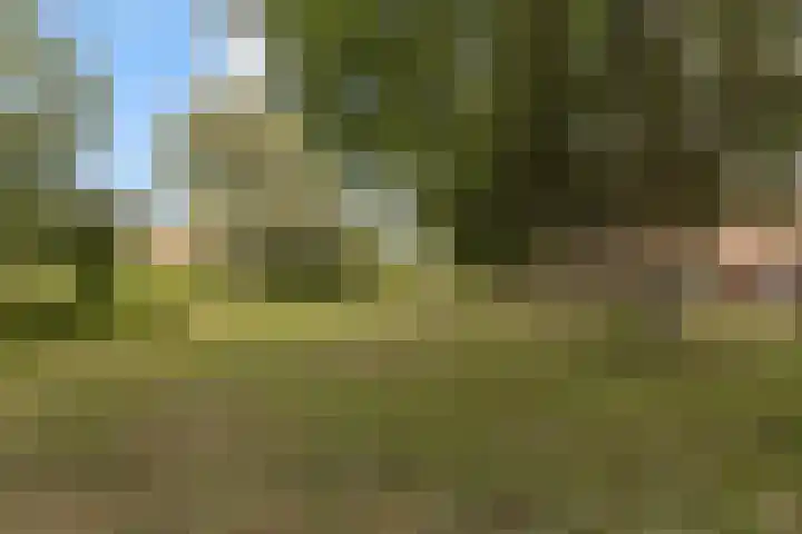 Albert van Dalsumlaan 479 Utrecht thumbnail 36