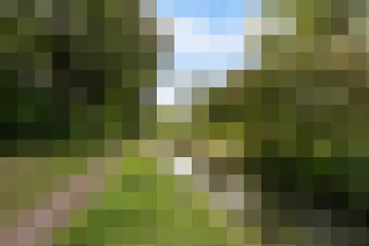 Albert van Dalsumlaan 479 Utrecht thumbnail 37