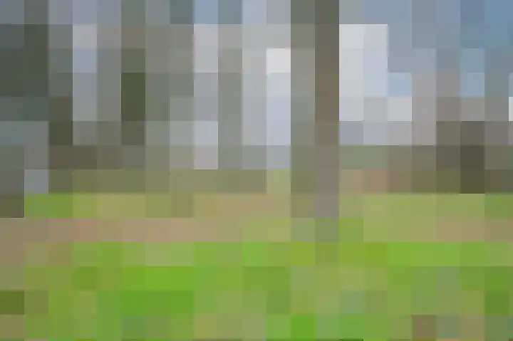 Albert van Dalsumlaan 485 Utrecht thumbnail 33