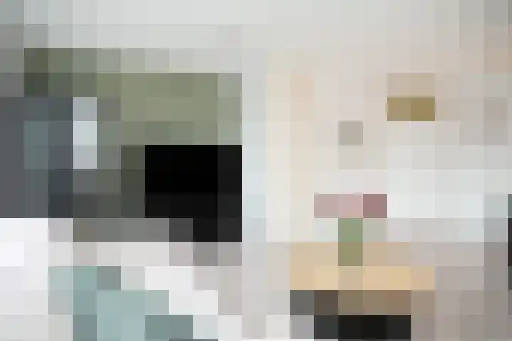 Albert van Dalsumlaan 485 Utrecht thumbnail 8